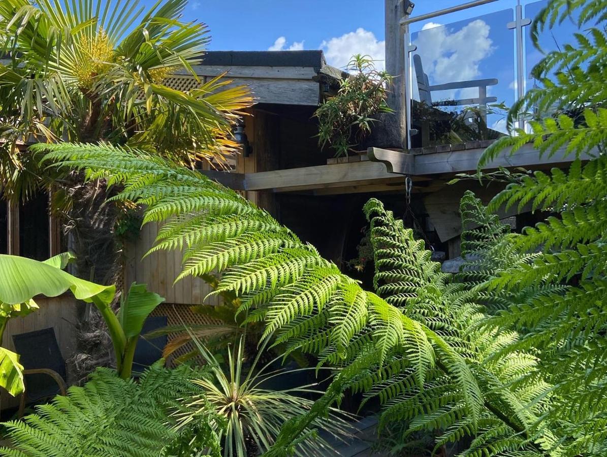 Jungle Cabin Martin Mill Dış mekan fotoğraf