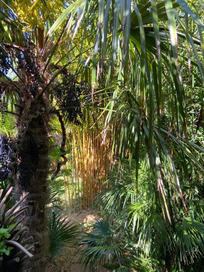 Jungle Cabin Martin Mill Dış mekan fotoğraf