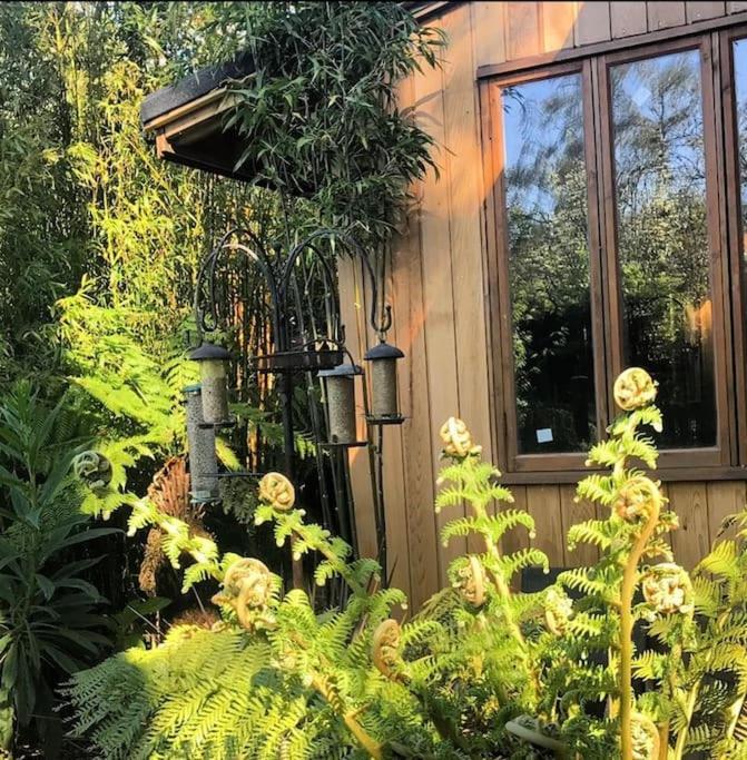 Jungle Cabin Martin Mill Dış mekan fotoğraf