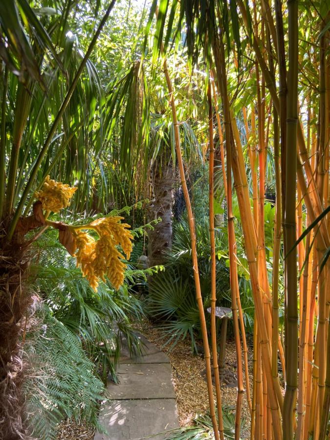 Jungle Cabin Martin Mill Dış mekan fotoğraf