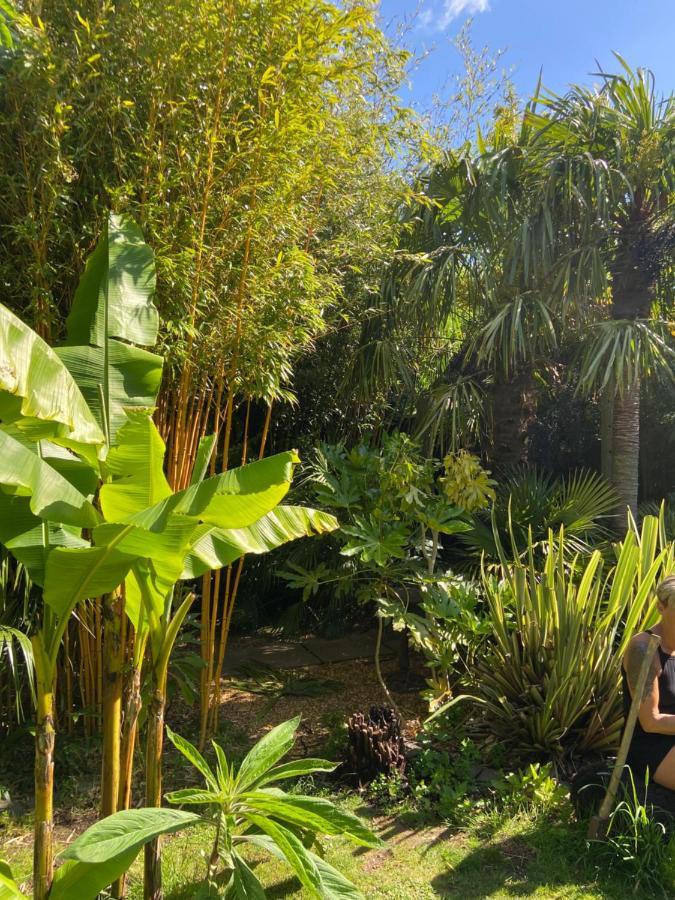 Jungle Cabin Martin Mill Dış mekan fotoğraf