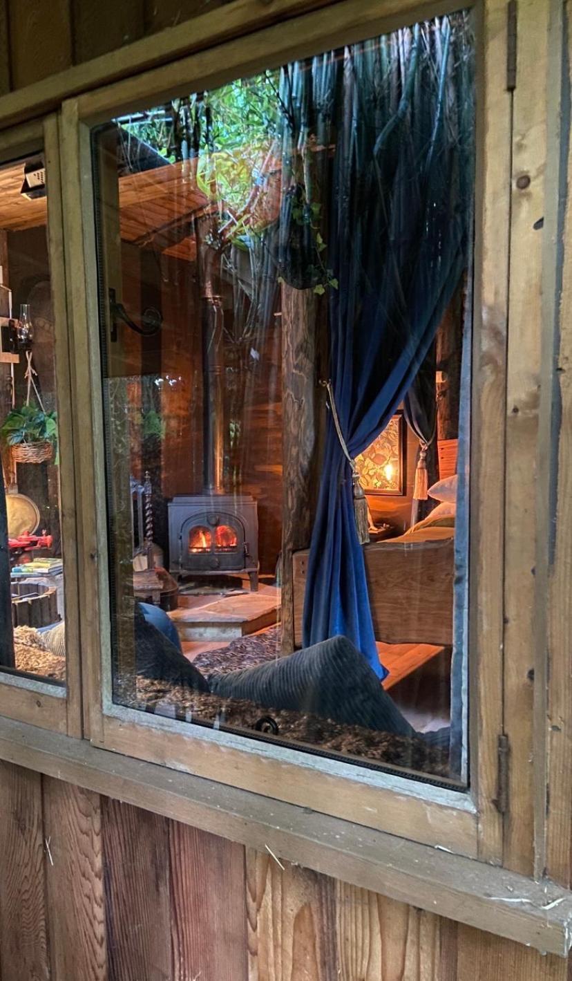 Jungle Cabin Martin Mill Dış mekan fotoğraf