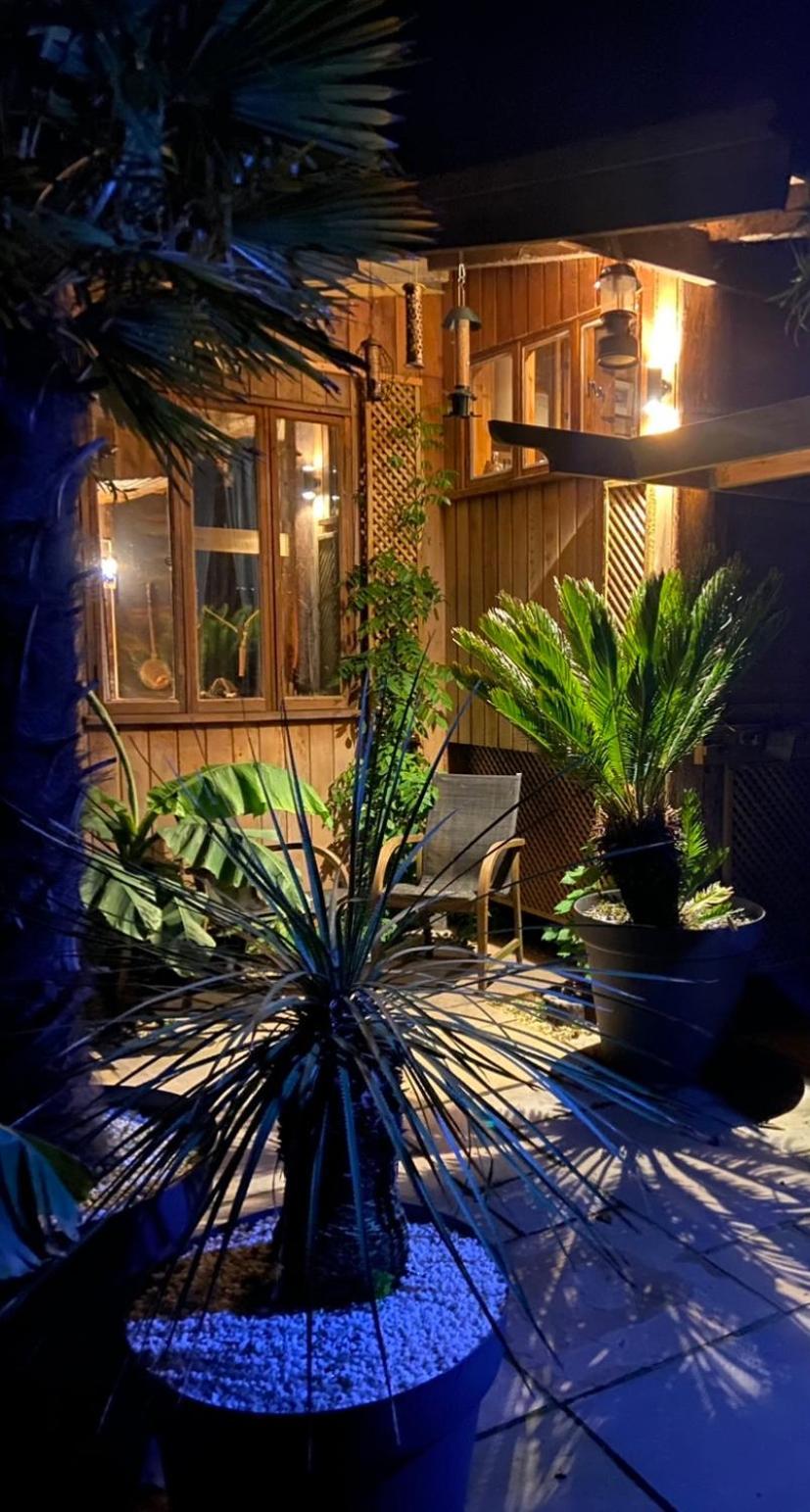 Jungle Cabin Martin Mill Dış mekan fotoğraf